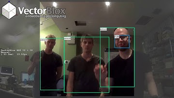YOLO Object Detection (Tiny v2) at 20fps detecting people and faces with gender
