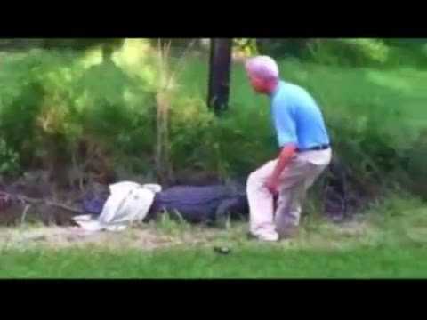 Old Man Tries to Catch an Alligator