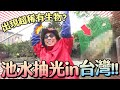 池水抽光好吃驚in台灣！抽光中興大學池  竟出現一堆超怪生物？《池水抽光好吃驚》｜緯來日本台 image