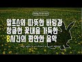 알프스의 따뜻한 바람과 상큼한 꽃내음 가득한 8시간의 편안한 음악 [Healing Forest Music]