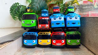 Tayo the Little Bus: Koleksi Mobil Bus Tayo,Lani,Rogi,Gani,Tayo Oleng