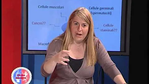 Chi dà i farmaci a scuola?