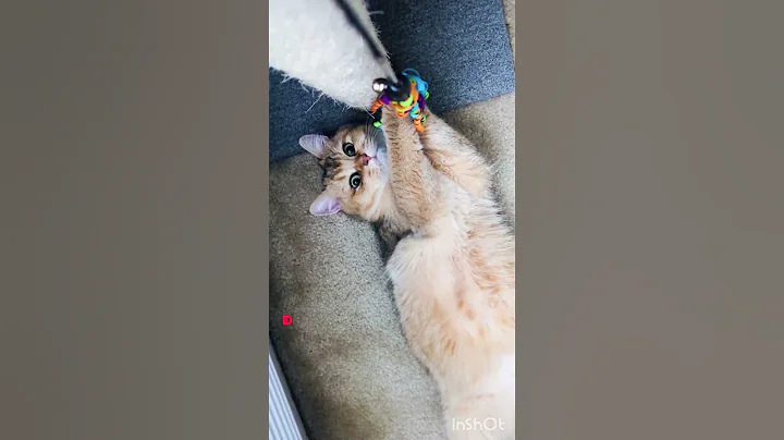 Watch the video about Oops 💩😲😉