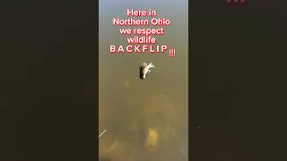 Fish BACKFLIP Safely! #shorts #fishing #fish #trending