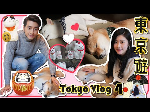 🗼 東京旅遊｜Tokyo Vlog 4 🇯🇵 ｜豆柴Cafe 🐕｜豪德寺 ⛩️ 招財貓 🐈