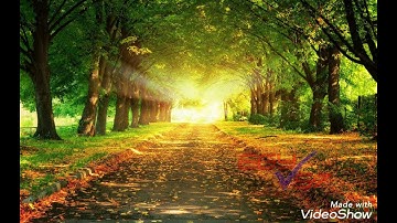 السورة المنجية من عذاب القبر سورة الملك بصوت القارئ ماهر المعيقلي