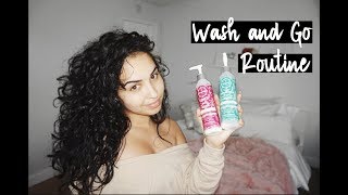 Wash and Go Routine FT. Treluxe