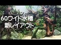 [最も人気のある！] 60 水槽 レイアウト 818762-水槽 60 スリム レイアウト