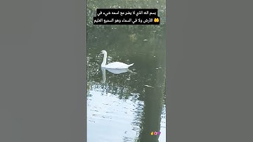 لا تنسى أذكار الصباح والمساء 👂#صلوا_على_النبي #اكسبلورر