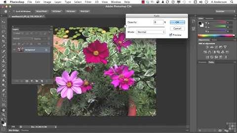 50 Adobe Photoshop CS6 Full Tutorial Working With Fade And Adjustment Layers
