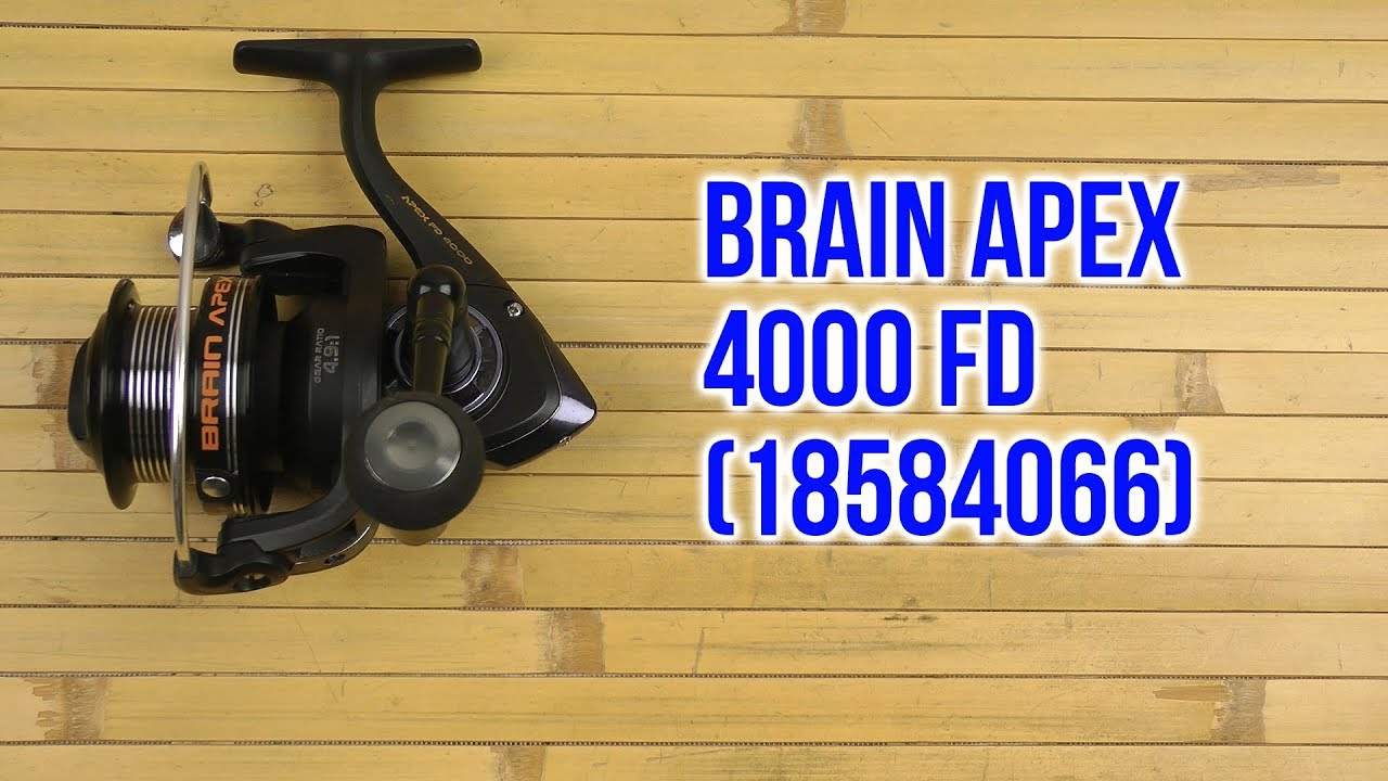 Brain apex. Brain apex fd 5000s. apex 4000 flowserve.