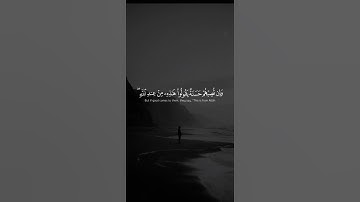 اكتب شيء تؤجر عليه 😴💚 قران كريم | ياسر الدوسري