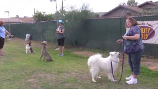 The PAWS Evaluation