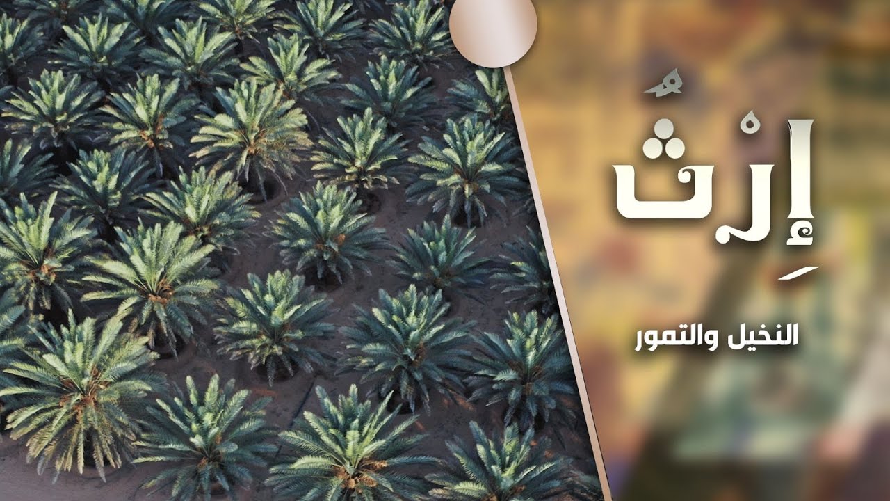 برنامج إرث | الموسم الثاني | الحلقة 1 | النخيل والتمور في الجزيرة العربية