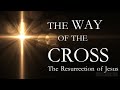 Youth Way of the Cross (Station 15)