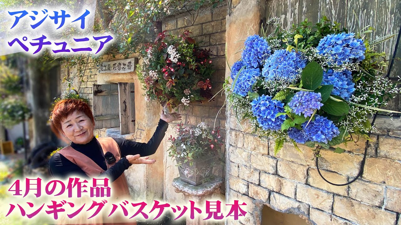 【4月アジサイやペチュニアを使った】ハンギングバスケットの作品を解説【吉村雅代】