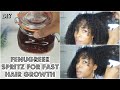 DIY FENUGREEK ALOE SPRAY FOR FAST HAIR GROWTH & STRENGTHENING | Mel's World