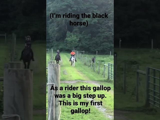 First gallop! class=