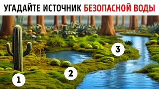 Как Долго Вы Продержитесь? Тест На Выживание В Дикой Природе