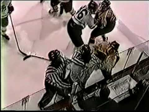 nhl fights youtube