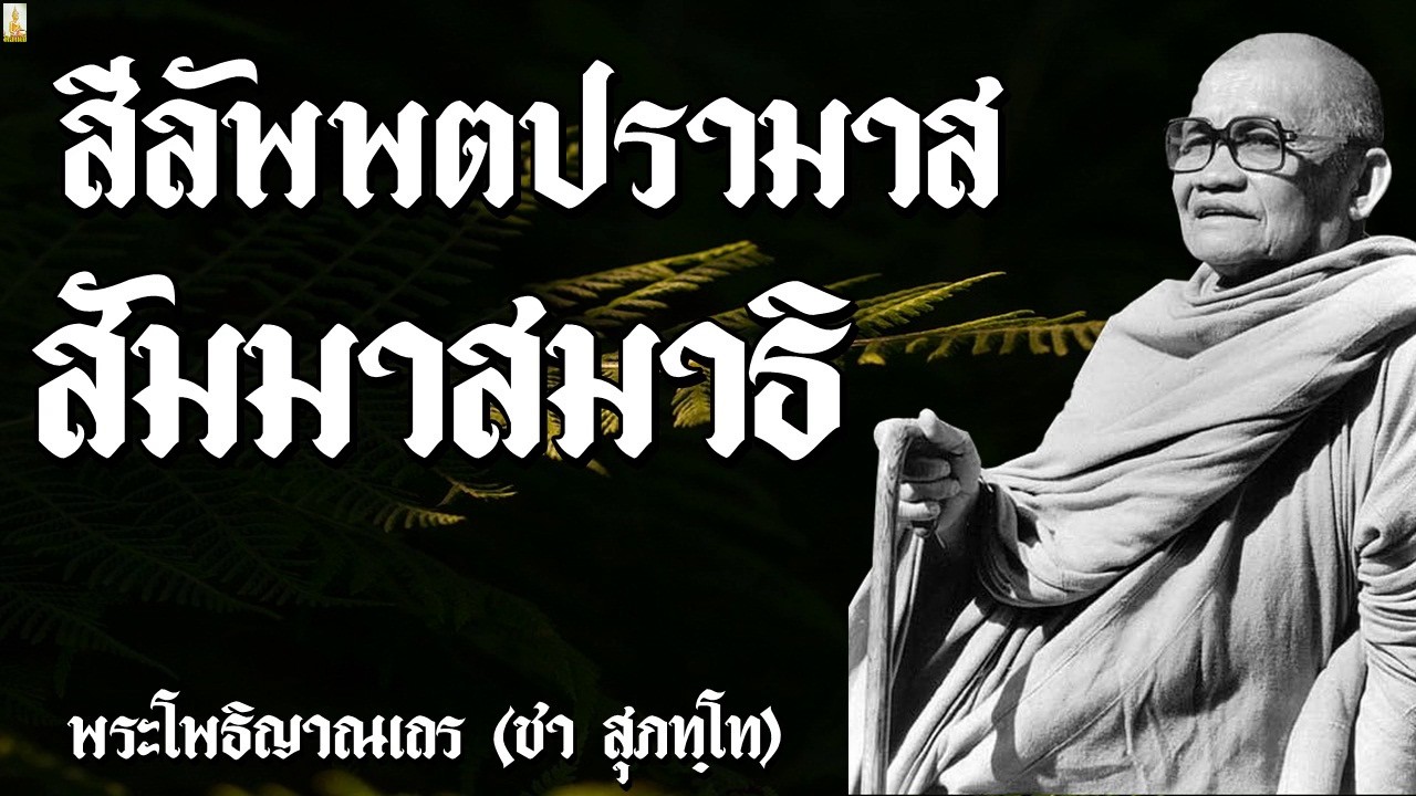 สีลัพพตปรามาส,สัมมาสมาธิ  @ หลวงปู่ชา สุภัทโท | สรุปเนื้อหาที่เกี่ยวข้องปรามาส แปลว่าที่มีรายละเอียดมากที่สุด