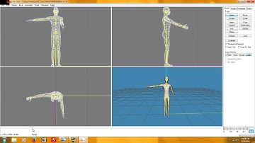 The Sims 2 Custom Animation Tutorial - Milkshape3D