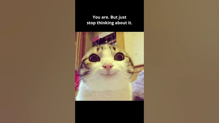 Stop thinking about it 😂 #memes #funny #cats #funnyimages #funnymemes #funnyvideos