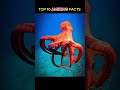 TOP 10 AMEZING FACTS 🔥#facts #shorts