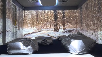 Interactive Immersion: Snowfall