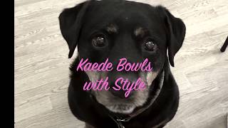 Do as I Do 2020 Video Challenge