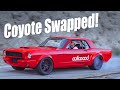 Went on a Canyon Run With Wilwood’s 1966 Mustang with a Coyote Engine!