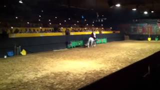 Танец на лошадях