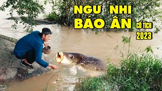 NGƯ NHI BÁO ÂN | CỔ TÍCH VIỆT NAM HAY 2023 | CỔ TÍCH VIỆT NAM MỚI 2023 | CỔ TÍCH NƯỚC NAM MỚI