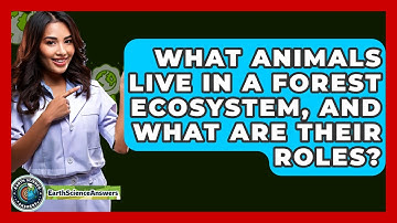 What Animals Live In A Forest Ecosystem, And What Are Their Roles? - Earth Science Answers