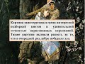 Сочинение по картине В.М. Васнецова - Иван царевич на Сером волке