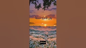 القارئ عبدالرحمن مسعد. تلاوه رائعه #ترند #قران_كريم #عبدالرحمن_مسعد #راحه_نفسيه.