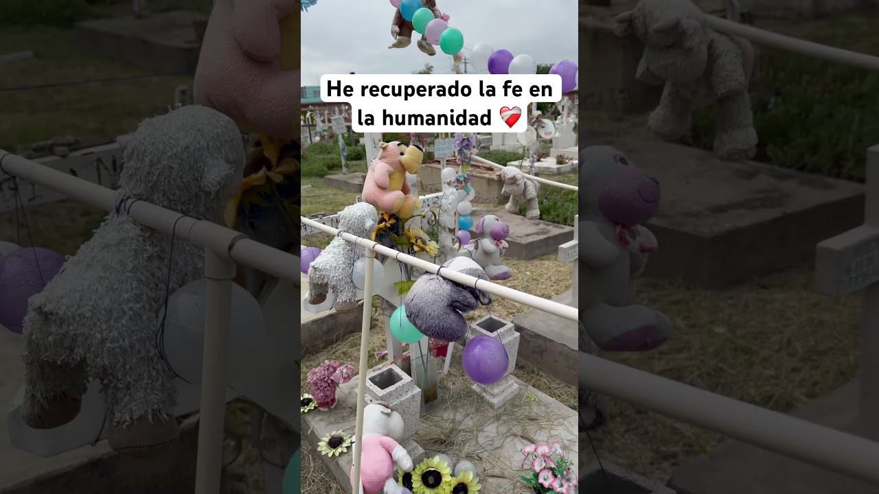 Comenta 👉🏼🧸 para honrar su memoria ❤️🩹 #historiasdevida