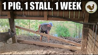 Building a farrowing stall while navigating a crazy week
