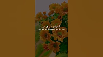 واستعينوا بالصبر والصلاة - القارئ إسلام صبحي