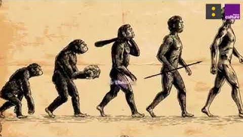 Qu'est ce qui prouve que la théorie de l'évolution est vraie ?