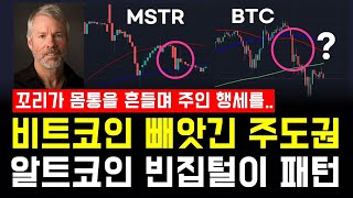 비트코인=MSTR, 알트코인=비트코인 된 상황 | 알트코인 현재 펌핑 순서.