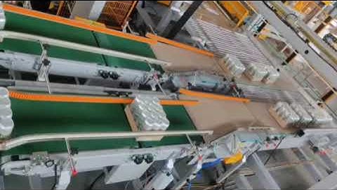 Automatic Double Feeding Line High Speed Low Level Palletizer for Boxes Cartons Cases Bags