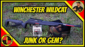 Cover Image for Winchester Wildcat 22 Rifle Review- Budget Friendly Blaster!