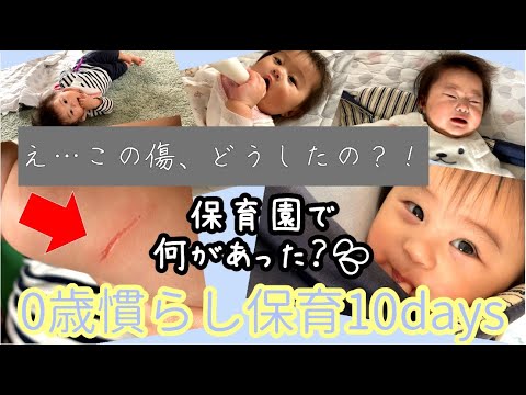 【慣らし保育】【0歳】保育園初登園から10日間完全密着 【ルーティン】 泣く? ミルクは飲める? 赤ちゃん 幼児