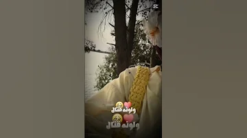 اغنية الرمش خطاف بدون موسيقى بدون موسيقى 