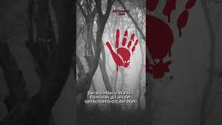 Der verfluchteste Ort der Welt – Hier verschwindet jeder! 👻🌲