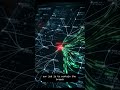 The Digital Firefighters - Incident Response