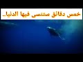 ضع السماع وعيش أجمل خمس دقايق مع القارئ عمير شميم 