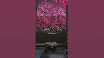 تلاوة عطرة للقارئ عبدالرحمن البلوشي من خواتيم سورة الذاريات