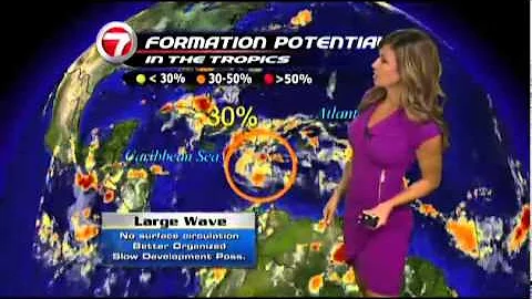 WSVN Weather Julie Durda Hot Purple Dress 8/17/2011